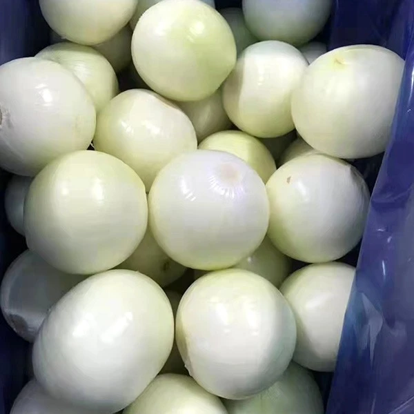 Fresh Orgnic 20kg Packing Yellow Onion factory