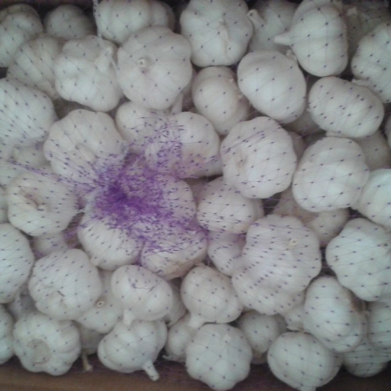 Premium Loose Pack Garlic Premium Loose Pack Garlic