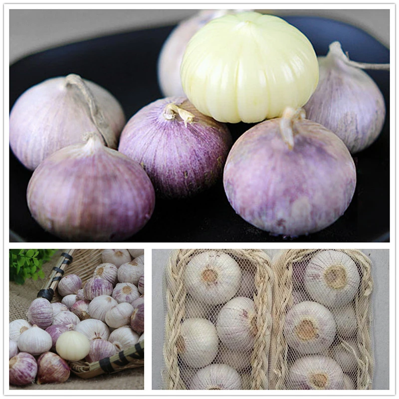solo garlic solo garlic